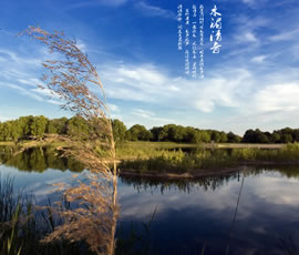 新義水鄉(xiāng)中醫(yī)藥浴康養(yǎng)、黃龍溪古鎮(zhèn)二日游