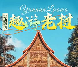 【趣游老撾 · 經典版納】—昆明、普洱、西雙版納、磨丁、瑯勃拉邦四動8日游