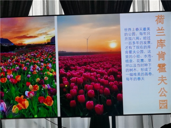 四川中青旅綿陽分社獨(dú)家定制圓夢歐洲系列 - 大全景 9 國 16 天 德國-法國-瑞士-意大利-奧地利-荷蘭-比利時(shí)-列支敦士登-盧森堡